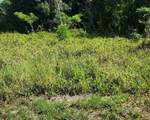 26532 Angelica Road - Photo 5