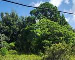 26532 Angelica Road - Photo 6
