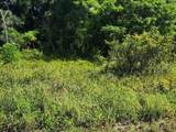 26532 Angelica Road - Photo 7