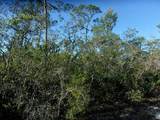 10566 Interlacher Drive - Photo 4