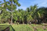 25029 Pearl Lake Circle - Photo 40