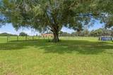 6902 Johnston Road - Photo 47