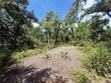Lot 10 Long Circle - Photo 3