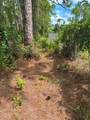  Tropicaire Boulevard - Photo 19