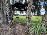 Johns Road - Photo 15