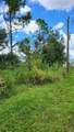 25 Evaro Drive - Photo 1