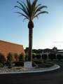 5096 Palena Boulevard - Photo 10