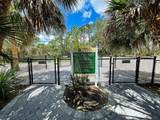26724 Weiskopf Drive - Photo 46