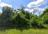 7146 Mineola Road - Photo 7