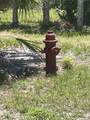  Palm Point Way - Photo 12