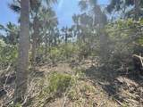  Palm Point Way - Photo 9