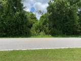 7119 Mamouth Street - Photo 2