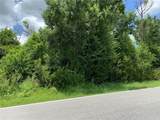 7119 Mamouth Street - Photo 3