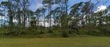 2521 & 2529 Jacobs Street - Photo 2