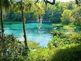  11 Place - Photo 10