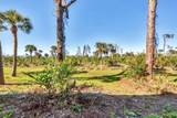 6610 Gasparilla Pines Boulevard - Photo 44