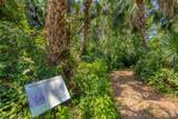 816 Tangerine Woods Boulevard - Photo 46