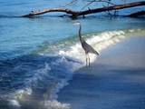 180 Gulf Boulevard - Photo 48