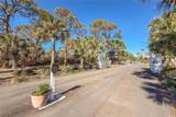 1401 Mccall Road - Photo 43