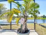 1167 Rotonda Circle - Photo 77