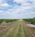 #40 Highway 31 - Photo 1