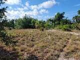 10163 Stonecrop Avenue - Photo 12