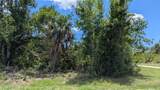 10017 Cocoa Beach Street - Photo 4