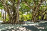 15610 Staunton Circle - Photo 80