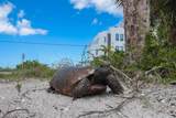 161 Gulf Boulevard - Photo 48
