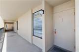 2617 Cove Cay Drive - Photo 42