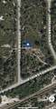 4170 Pilgrim Street - Photo 1