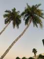 170 Gulf Boulevard - Photo 41