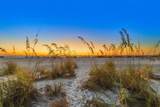 290 Gulf Boulevard - Photo 48