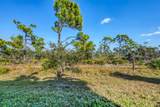 8920 Conch Avenue - Photo 44