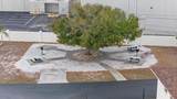 1531 Placida Road - Photo 42