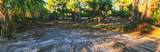 12395 Sunniland Avenue - Photo 6