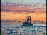9574 Buccaneer Trail - Photo 12