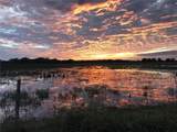 313 Gator Alley - Photo 8