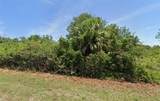 13879 Begonia Circle - Photo 1