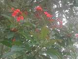  Kacher Road - Photo 5