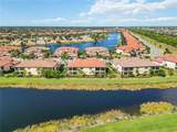 10817 Tarflower Drive - Photo 52