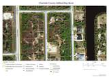10194 Arcadia Street - Photo 3