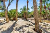 51 Palm Drive - Photo 41
