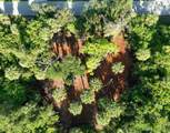 2340 Fintonrod Street - Photo 32