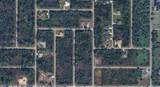 116 Hawke Street - Photo 10