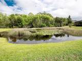 5017 Bella Terra Drive - Photo 61