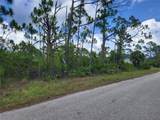 14114 Clarissa Lane - Photo 3