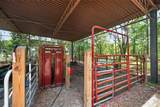 2527 County Road 225 - Photo 46