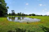 2527 County Road 225 - Photo 75