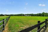 2527 County Road 225 - Photo 77